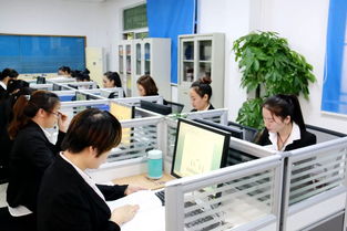 深圳龍崗家政服務 周邊家政服務公司