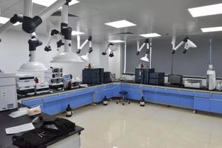 號外！玉環市食品藥品檢驗檢測中心搬家啦，家政服務同步煥新