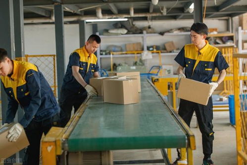 馬云預言 后疫情時代，家政服務或成新財富風口